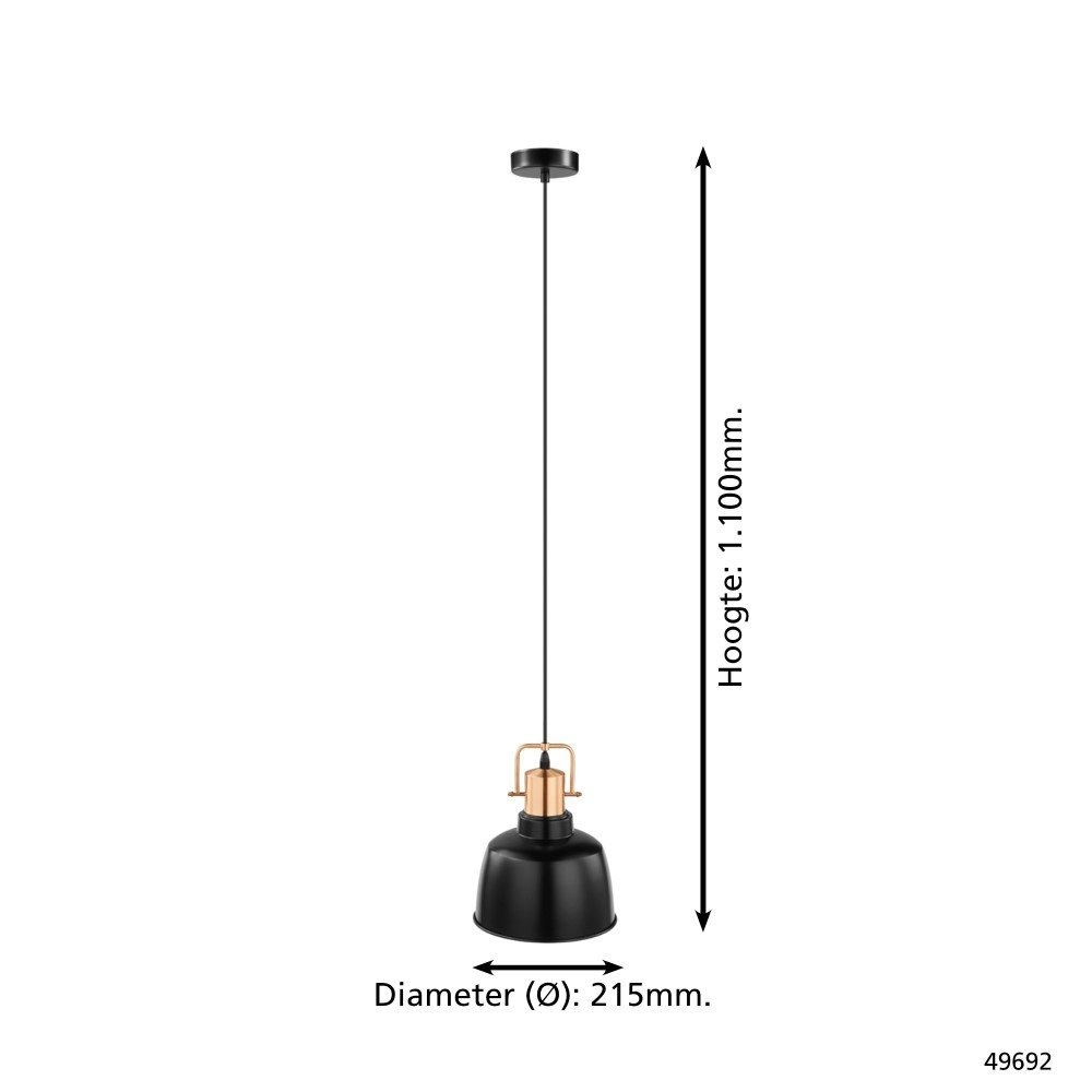 Lampe à suspension Bodmin 21,5cm Eglo 9002759496920