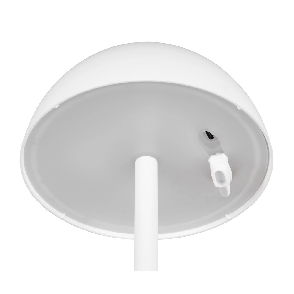 Lampe de table Ricardo blanc Ø 13,5cm Trio 4017807601787
