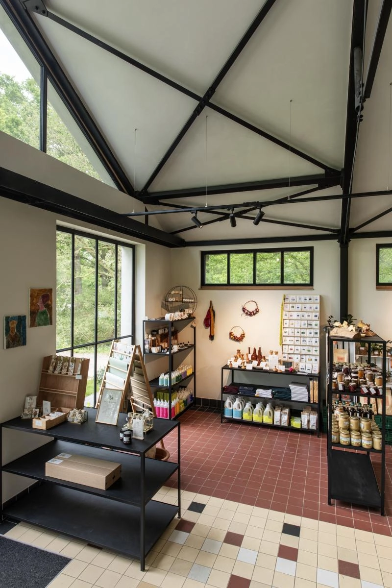 Railspot 3-phasé Numinos M Dali noir 3000K - 36 deg SLV 4024163246170