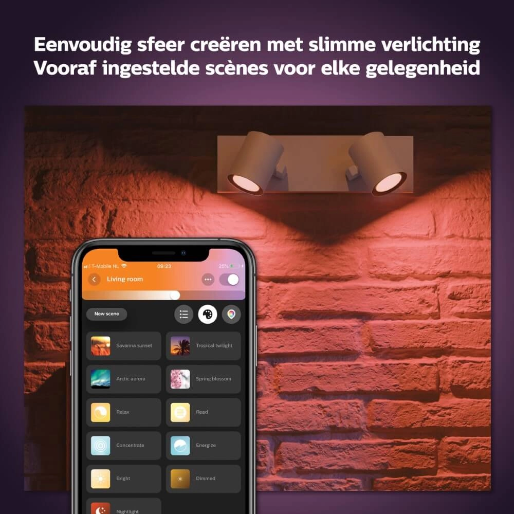 Spot en saillie Hue Argenta - White and color 2 lumières blanc Philips 8718696171585