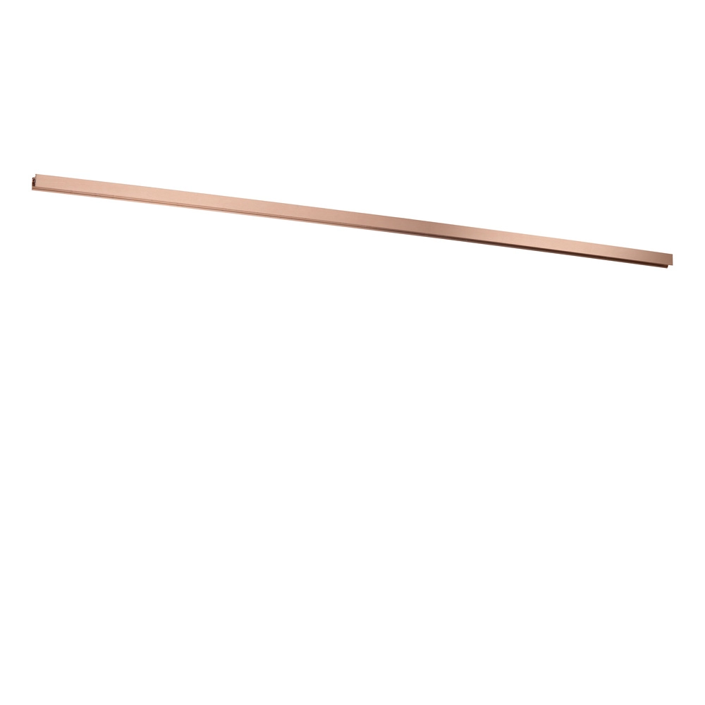 Rail 1 mètre 1-phasé Linial Champagne