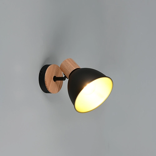 Lampe de plafond Delume Noir simple Trio 4017807672237