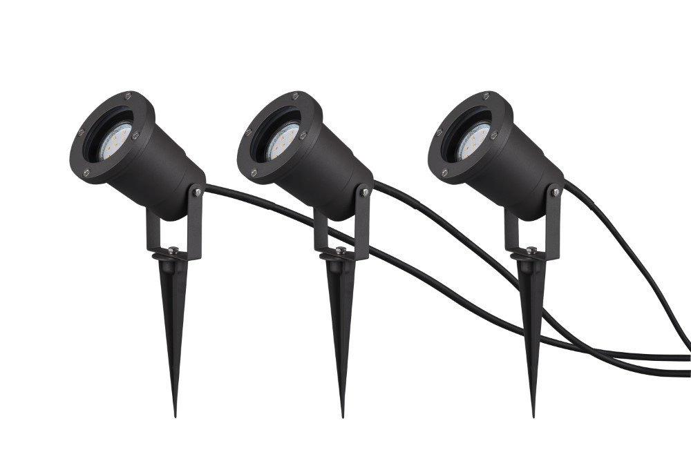 Ubangi anthracite