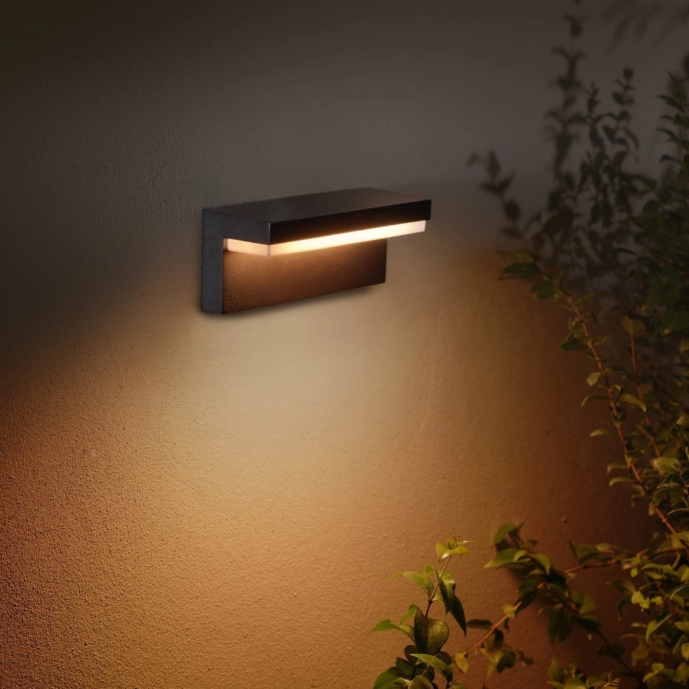 Spot extérieur Hue Nyro noir Philips 8718696174302