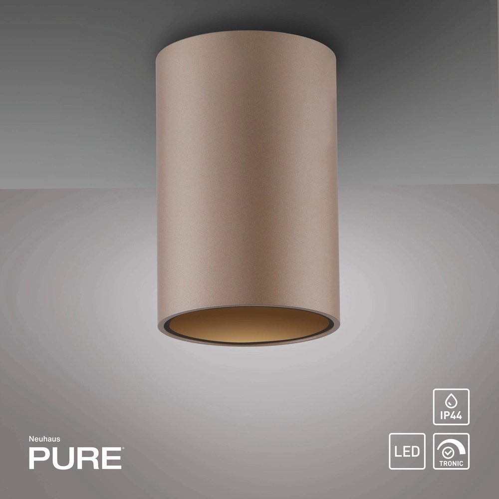Emplacement monté en surface au plafond Pure Point Ø 6 cm - bronce Paul Neuhaus 4012248395691