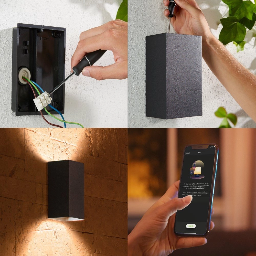 Lampe d'extérieur Up-Down Hue Resonate noir Philips 8718696174388