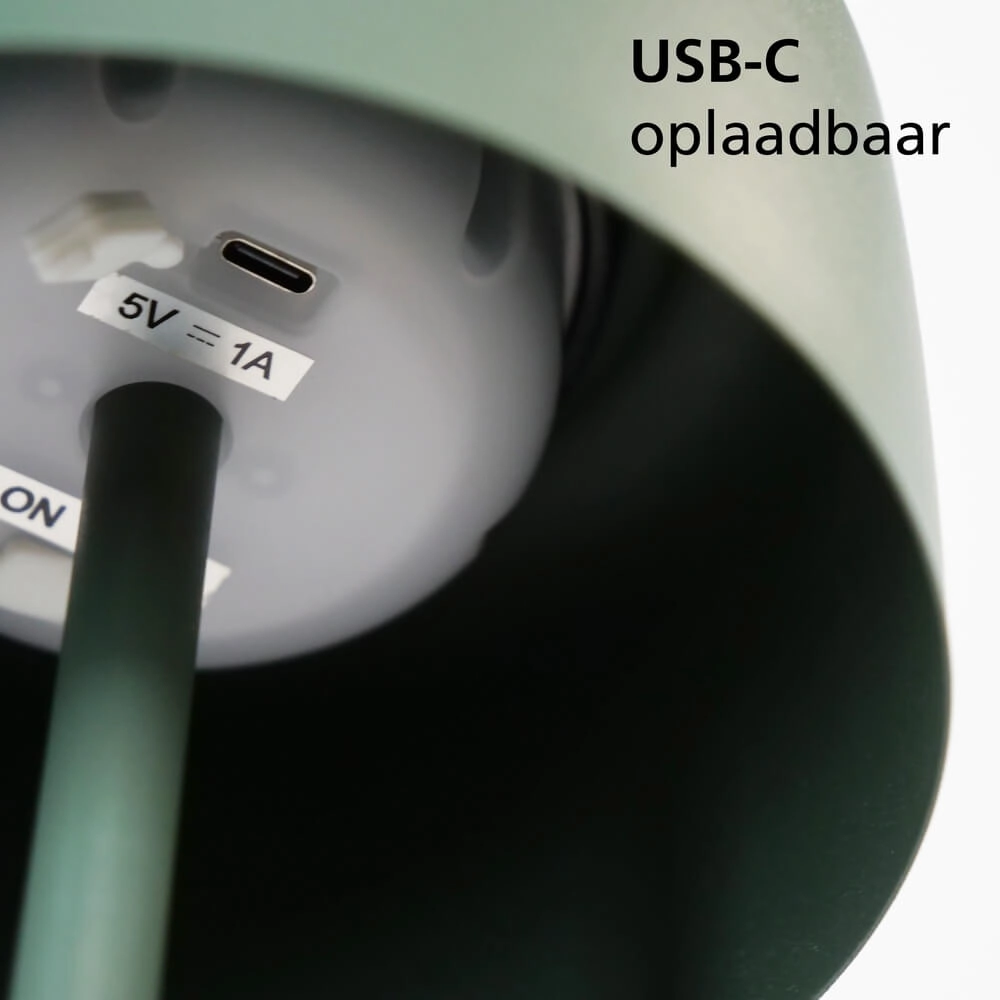 Lampe de patio élégante Roccanova Vert solaire avec USB Eglo 9008606355099