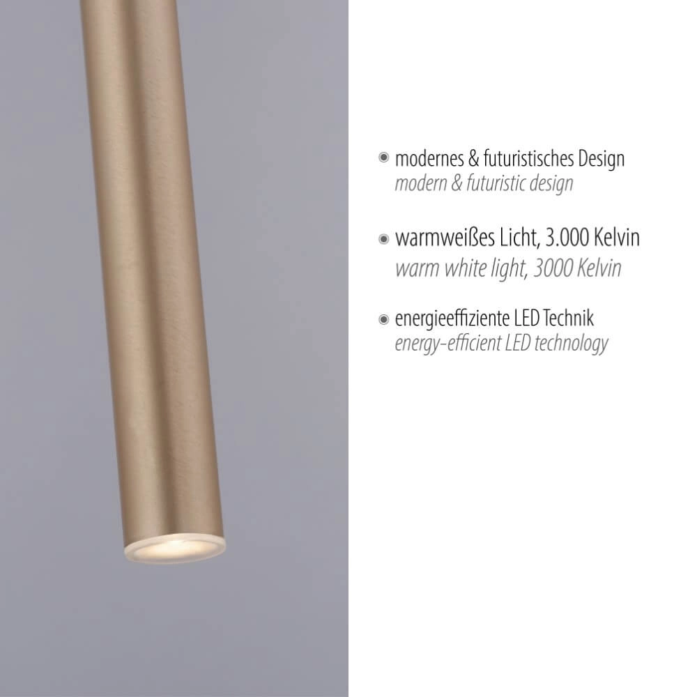Lampe suspendue unique Flute 1 lumière en laiton Paul Neuhaus 4012248374740