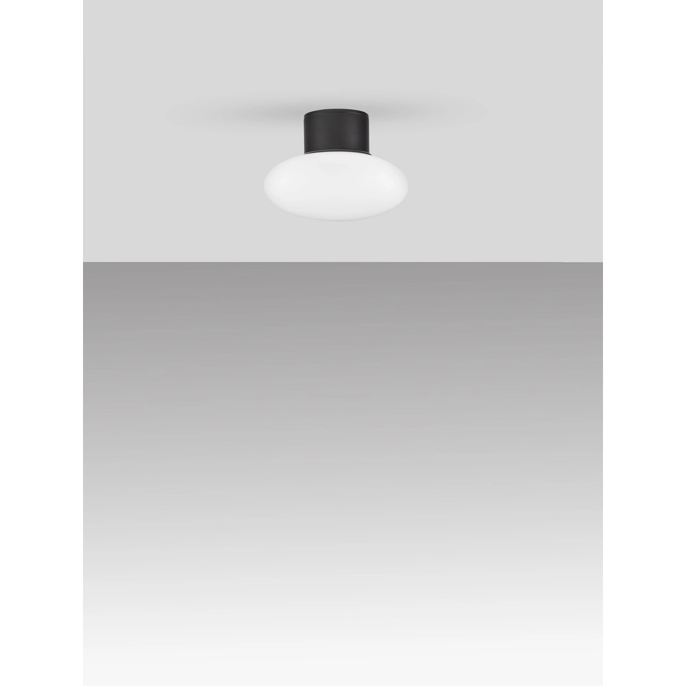 Plafonnier Ali anthracite avec verre blanc ovale Lyora 5212017476456