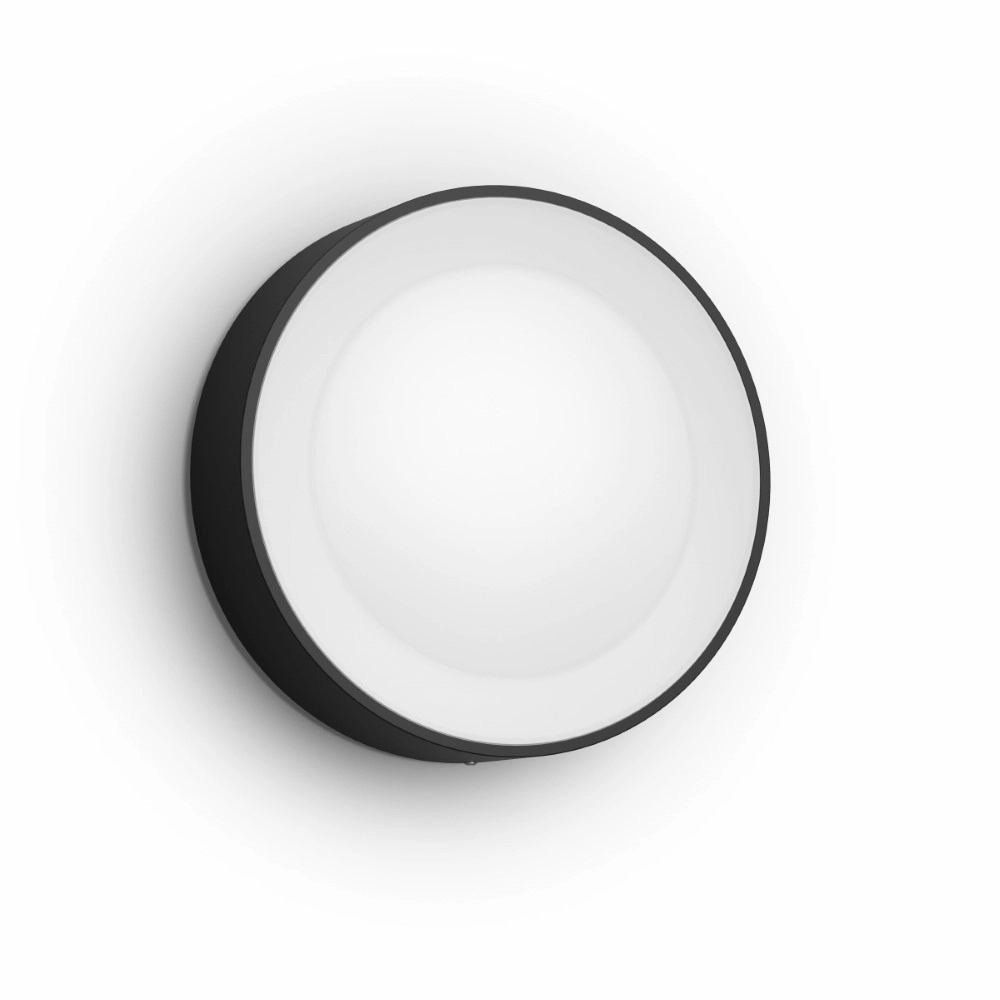 Lampe d'extérieur ronde Hue Daylo noir Philips 8718696174401