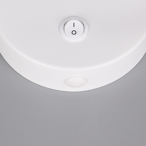 Éclairage mural Taryn Blanc avec interrupteur Trio 4017807685688