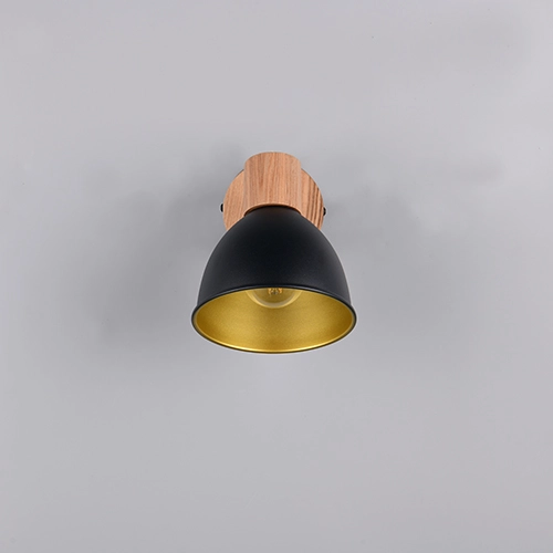 Lampe de plafond Delume Noir simple Trio 4017807672237