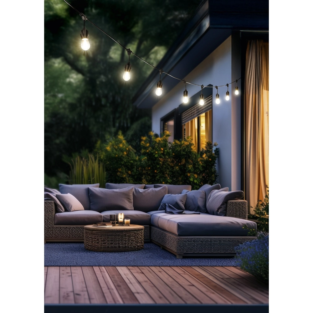 Lumières de fête Chain Noir 10 lumières Trio 4017807622720