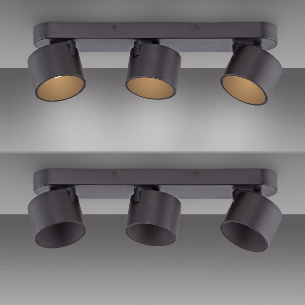 Projecteur à LED 3L monté en surface Pure Cup Black Pearl Paul Neuhaus 4012248395615