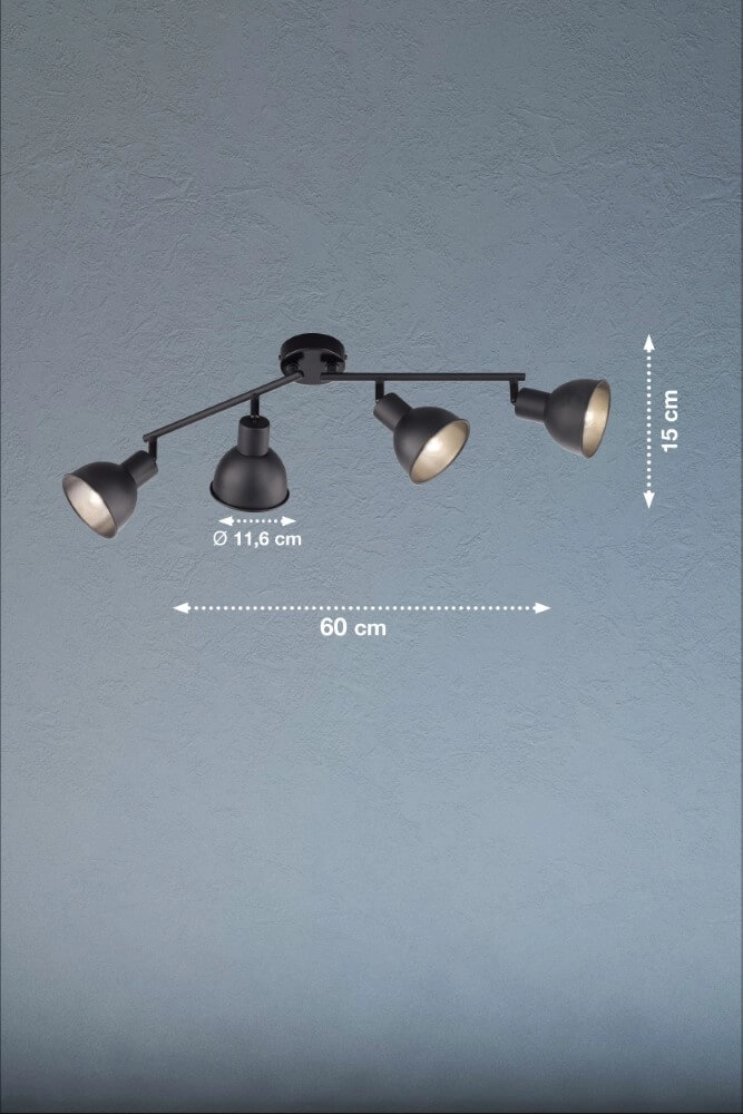 Spot de plafond orientable Speedy noir mat Fischer & Honsel 4003694212489