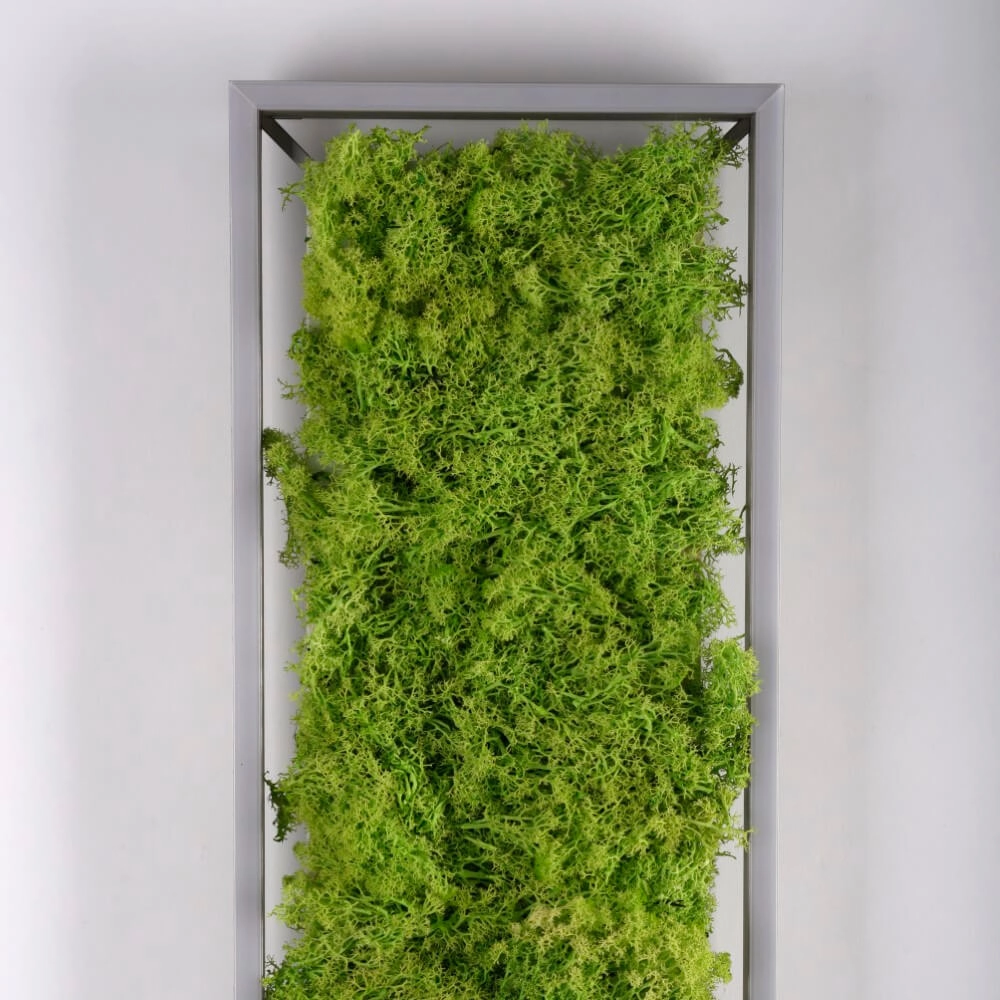 Plafonnier rectangulaire Green Knut avec de la mousse Just Light 4043689994846