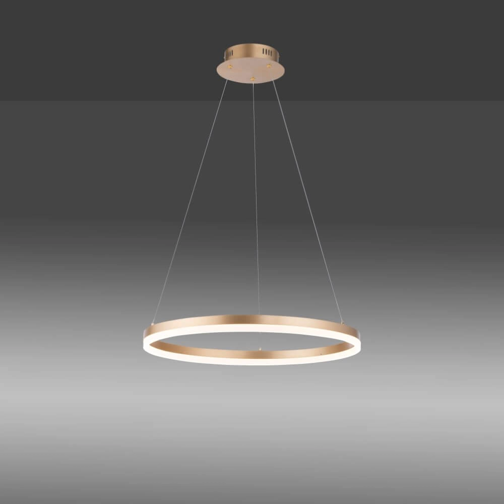 Lampe suspendue moderne Titus Ø 60cm laiton antique Paul Neuhaus 4012248362853