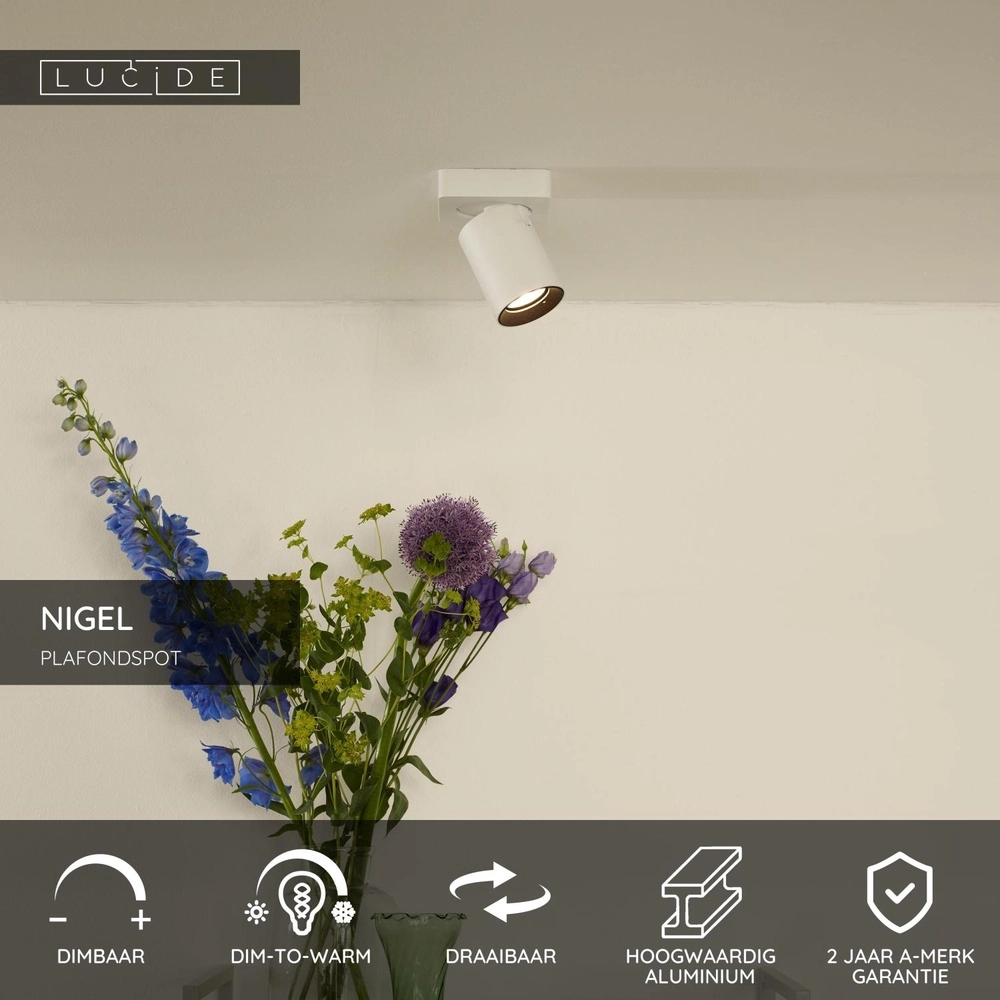 Projecteur de plafond Nigel Blanc Lucide 5411212092540