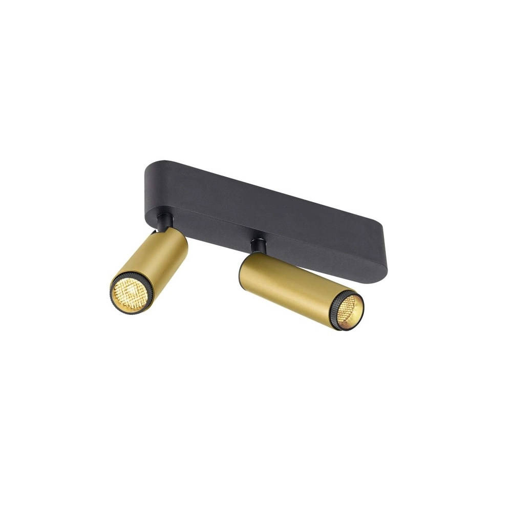 Spot monté en surface Grip! S Or 2 lumières 3000K