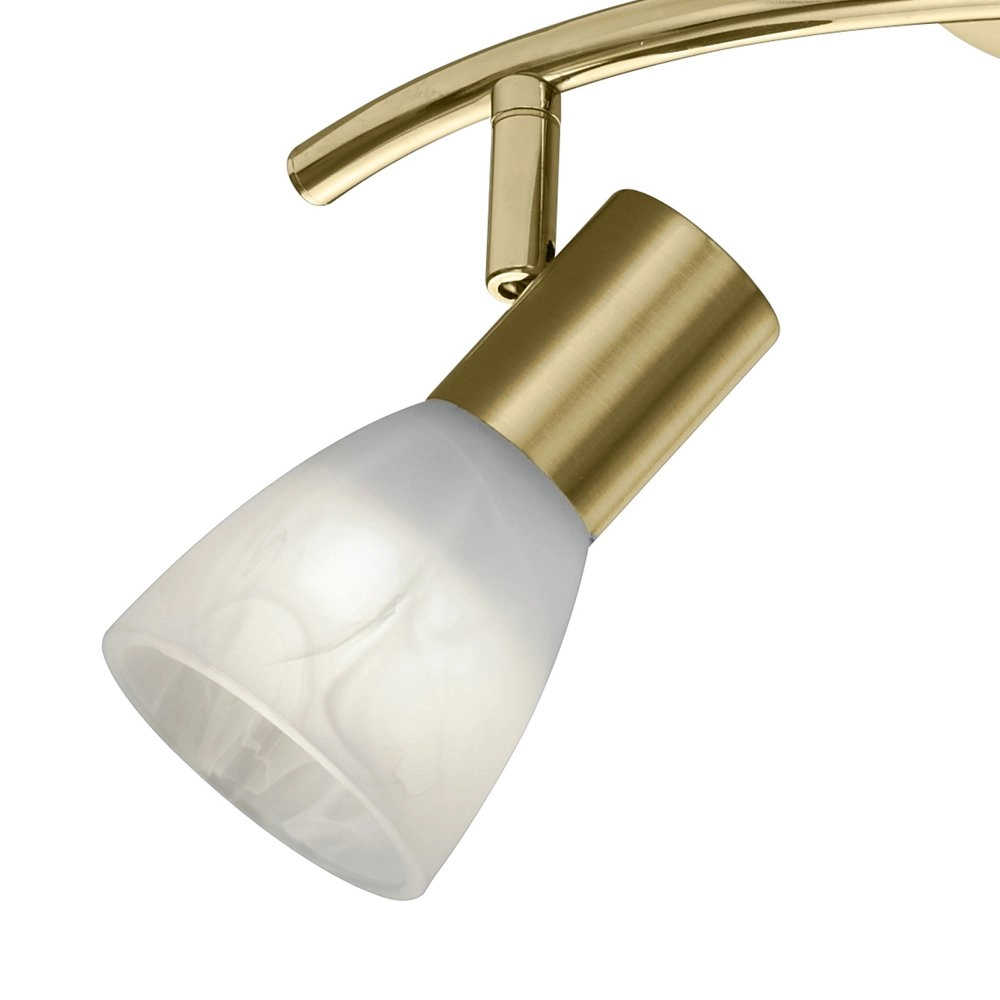 Spot de plafond LED Levisto 2 lumières laiton mat Trio 4017807281668