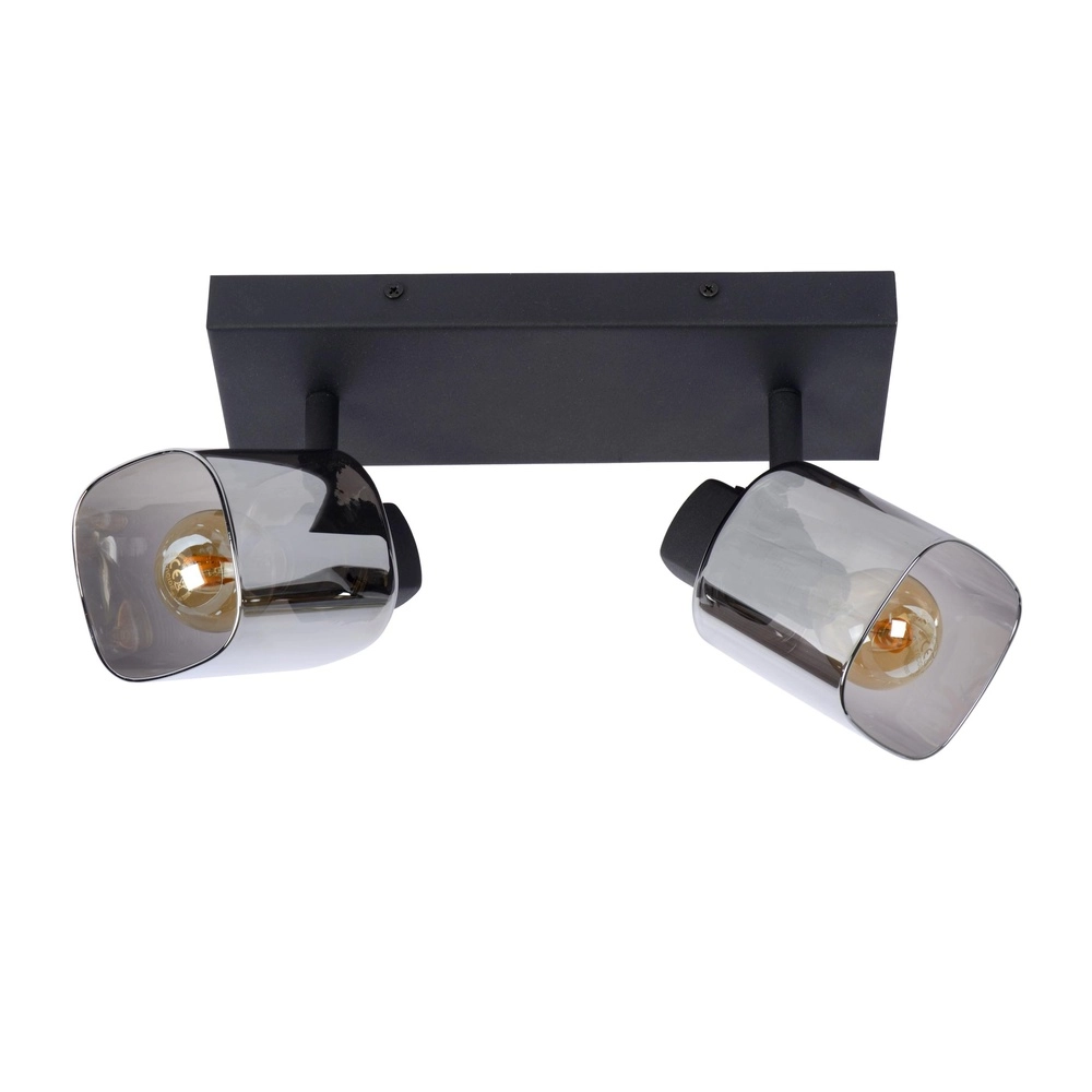 Lampe de plafond Alion Noir à deux lumières avec verre fumé
