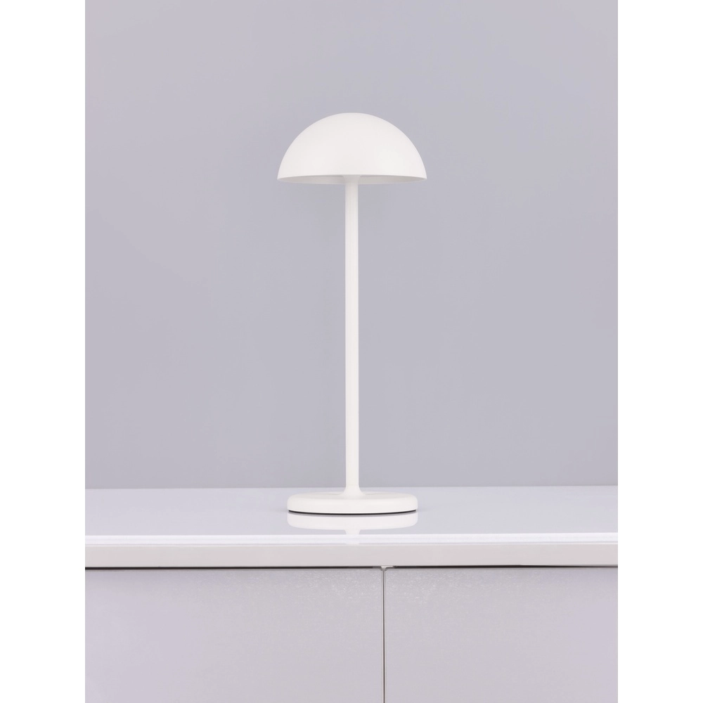 Lampe de table noire Rose blanc Lyora 5212017439611