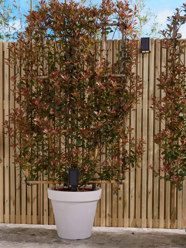 Lampe solaire LED Rosario avec capteur Luxform 8719099230299