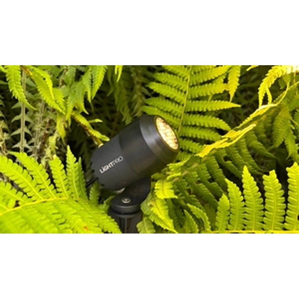 Capuchon de distribution de lumière Honeycomb pour Juno Lightpro 8719979284909