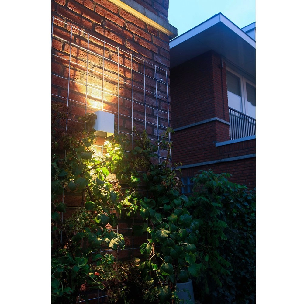 Spot murale Ace Up-Down White LED 12 volts In-lite 8717051003783