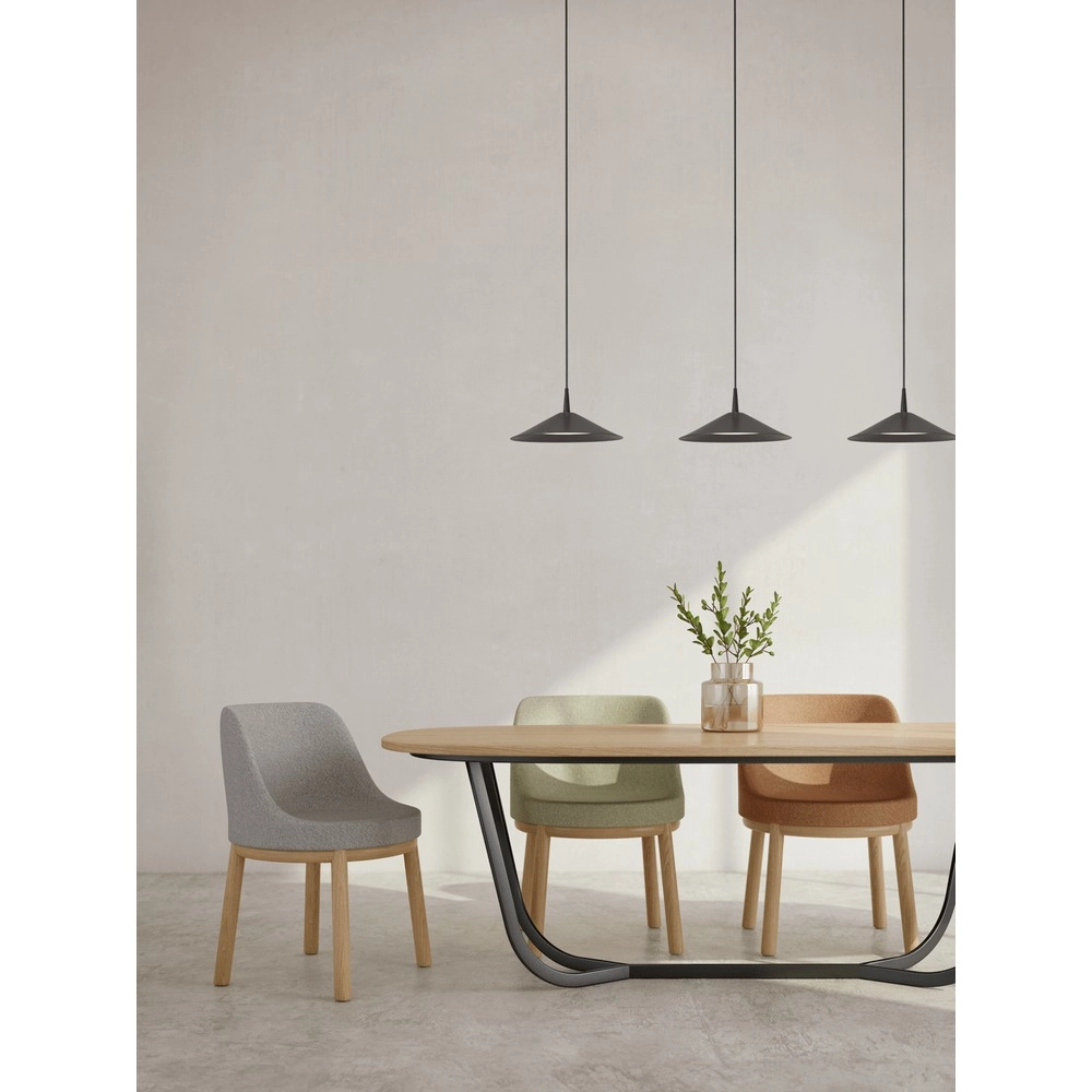 Lampe pendante à 3 lampes Ceppo noir Ø 22cm Masterlight 8718121358468