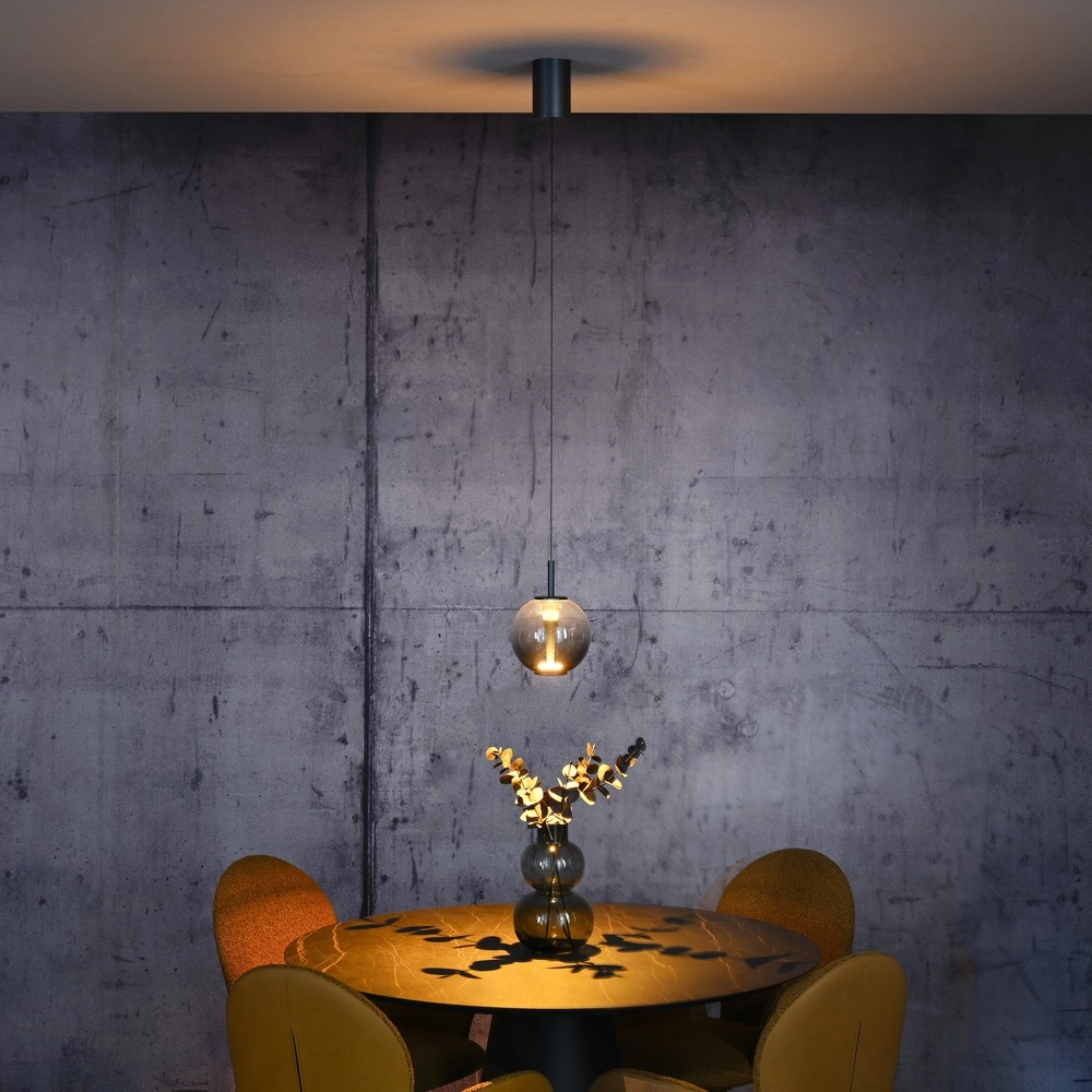 Suspension LED Pure Infinity avec verre fumé - Ø 18cm Paul Neuhaus 4012248399033