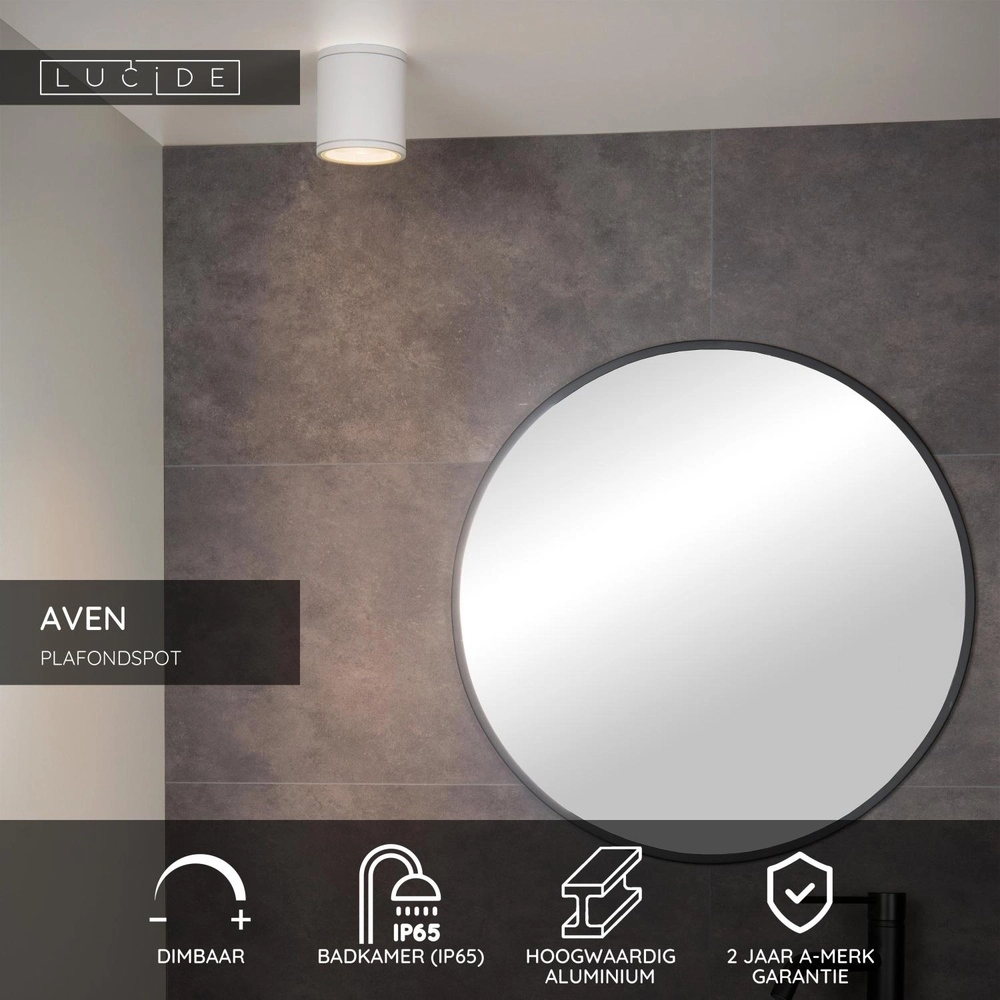 Projecteur de plafond Aven toilettes IP65 blanches Lucide 5411212221445