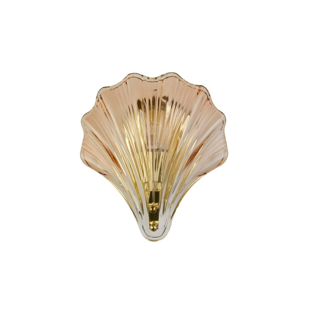 Applique murale Shell avec verre ambré Searchlight 5053423271118