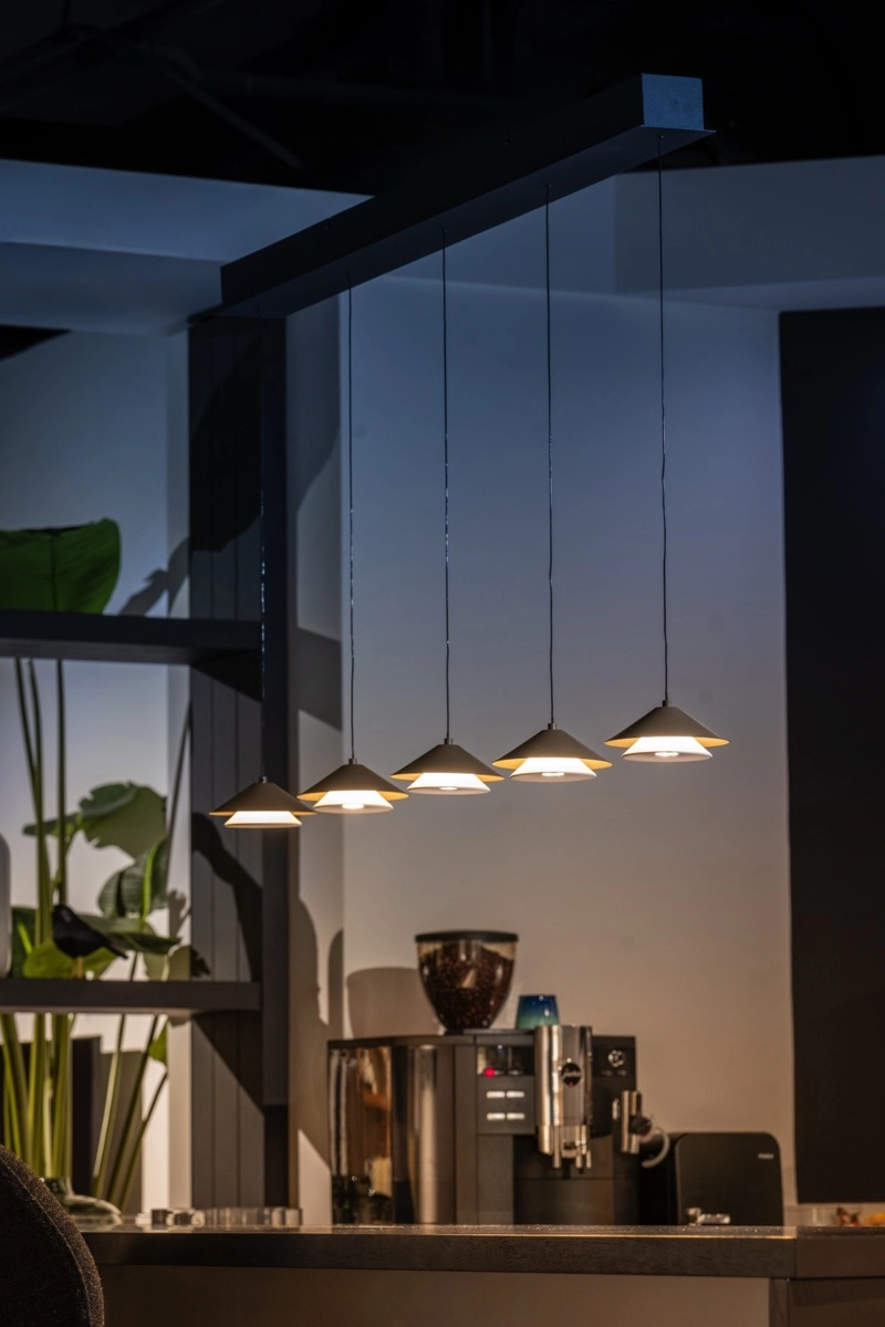 Lumière suspendue LED de salle à manger Jens LED 5x ETH 8720195311447