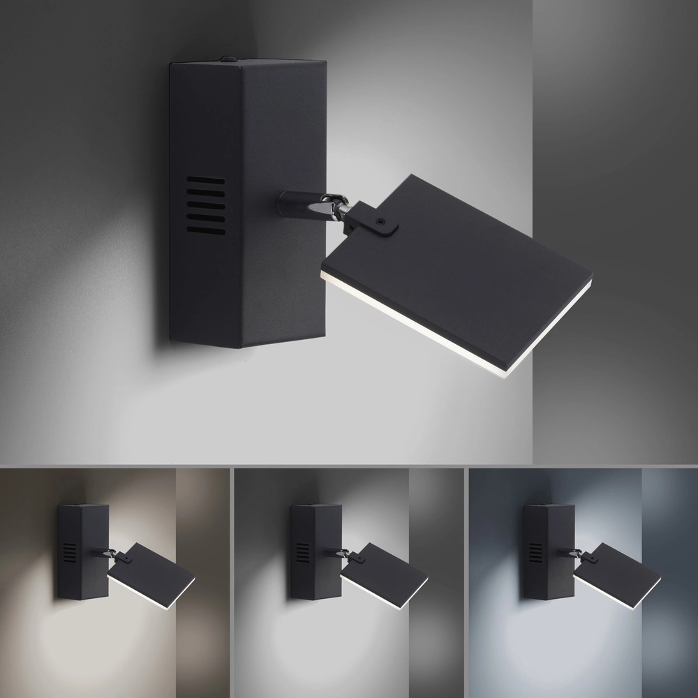 Lampe murale LED Pure Mira Switch - Black Pearl Paul Neuhaus 4012248359426