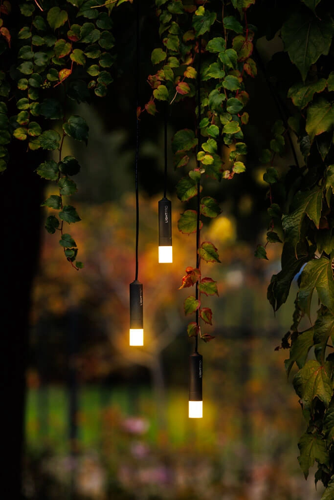 Lampes suspendues 12 volts Rodas lot de 3 Lightpro 8719979284152