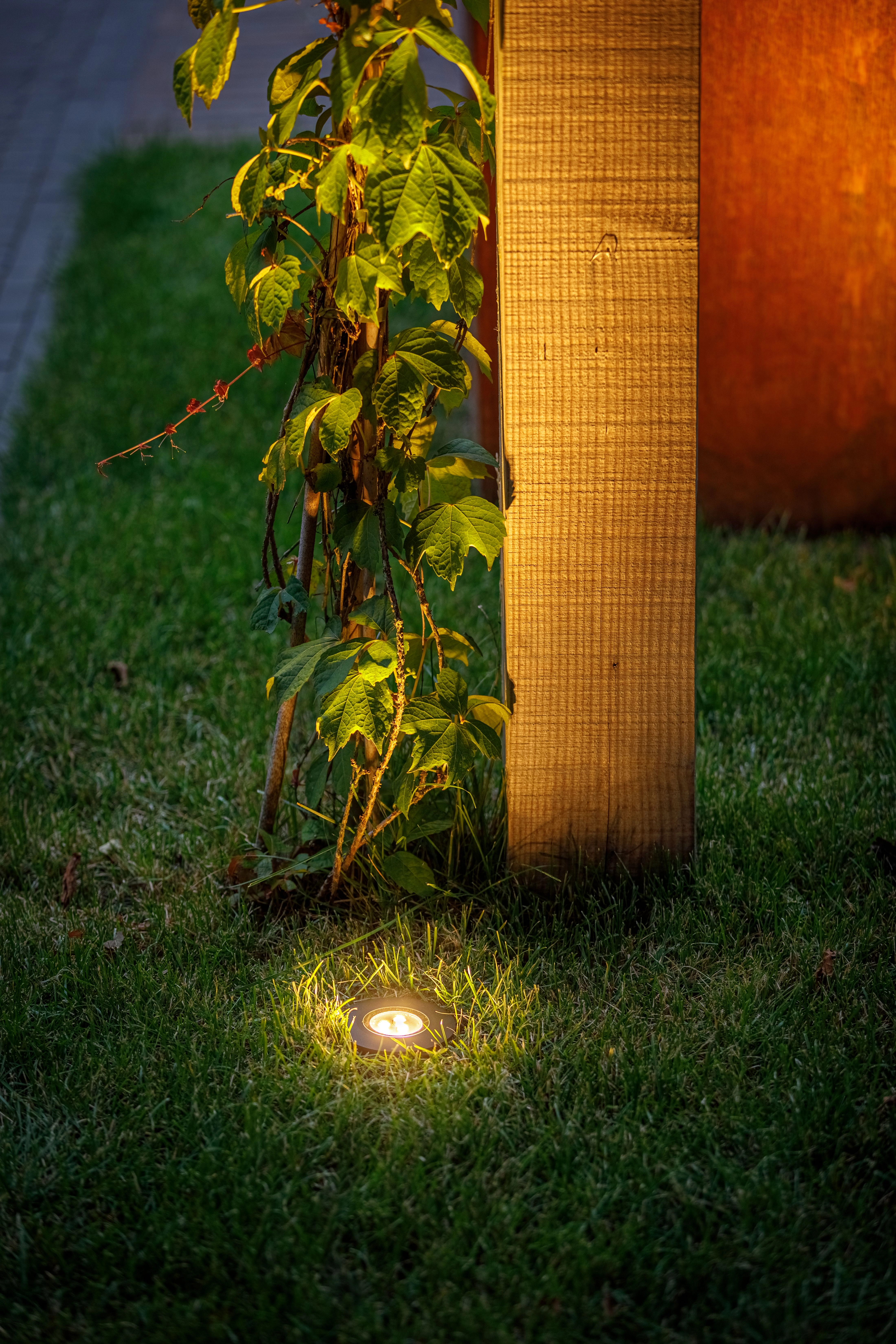 Nomia pour système LightPro 12V Lightpro 8719979282097