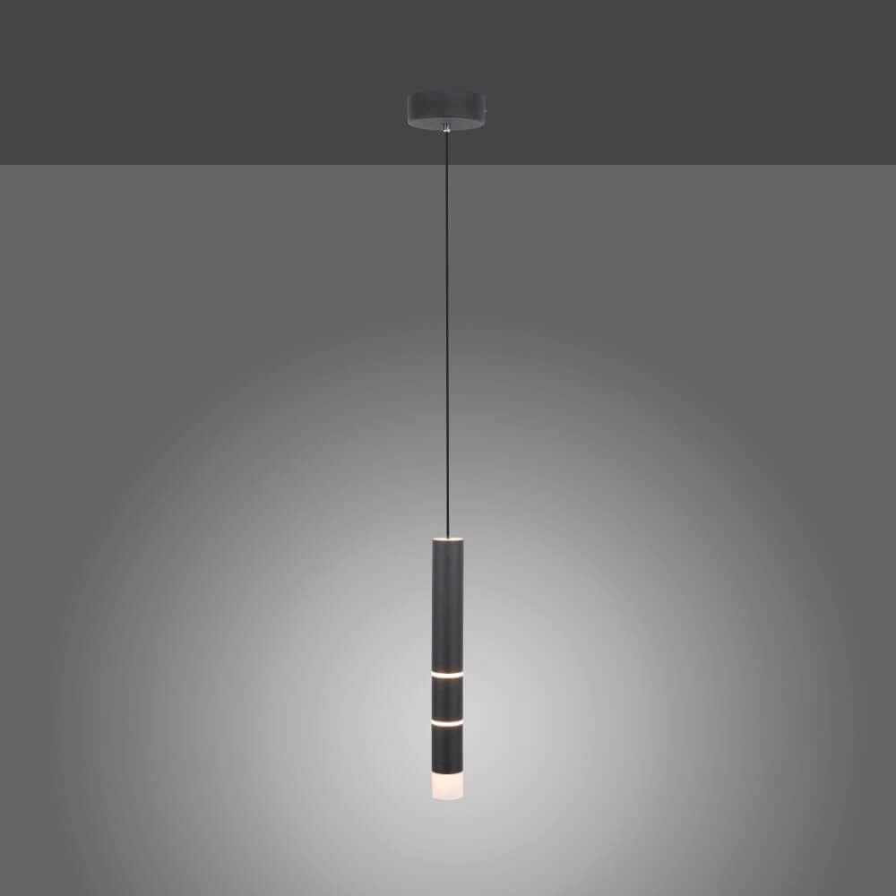 Lampe suspendue noire Pure Vega 3000K Paul Neuhaus 4012248357514