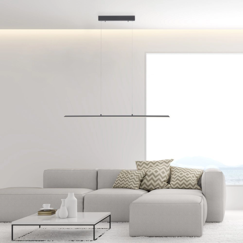 Lampe suspendue design Pure Lite 100 cm anthracite Paul Neuhaus 4012248344873