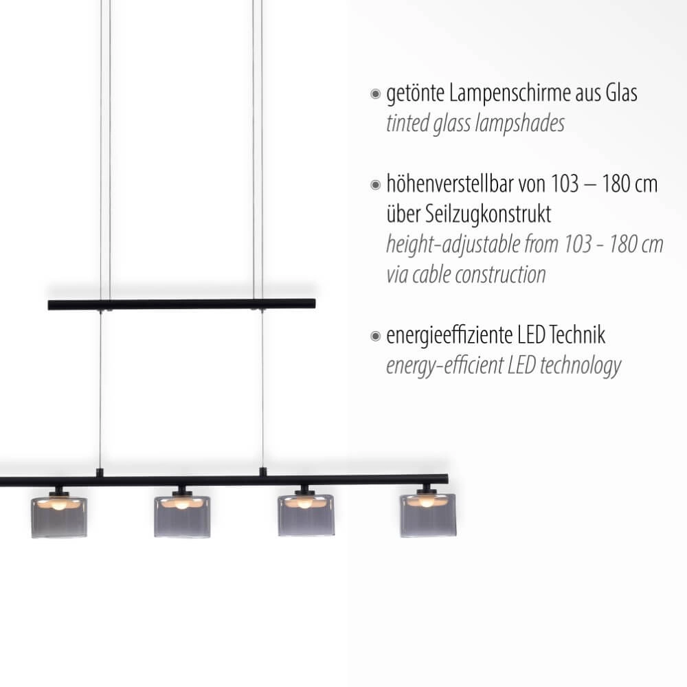 Lampe suspendue 5 lumières Hydra noir Paul Neuhaus 4012248364970