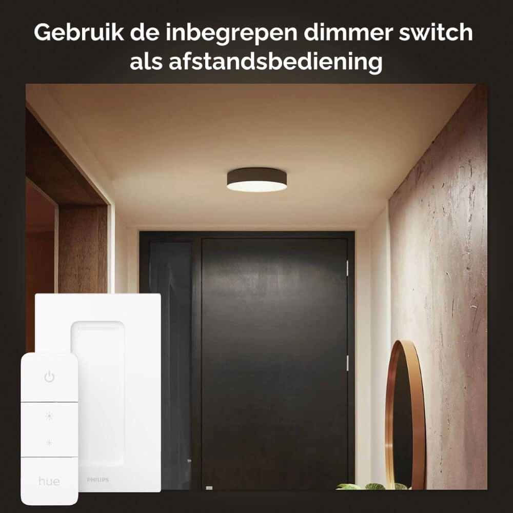 Plafonnier Hue Enrave S - White Ambiance Ø 26,1 cm noir Philips 8718696176429