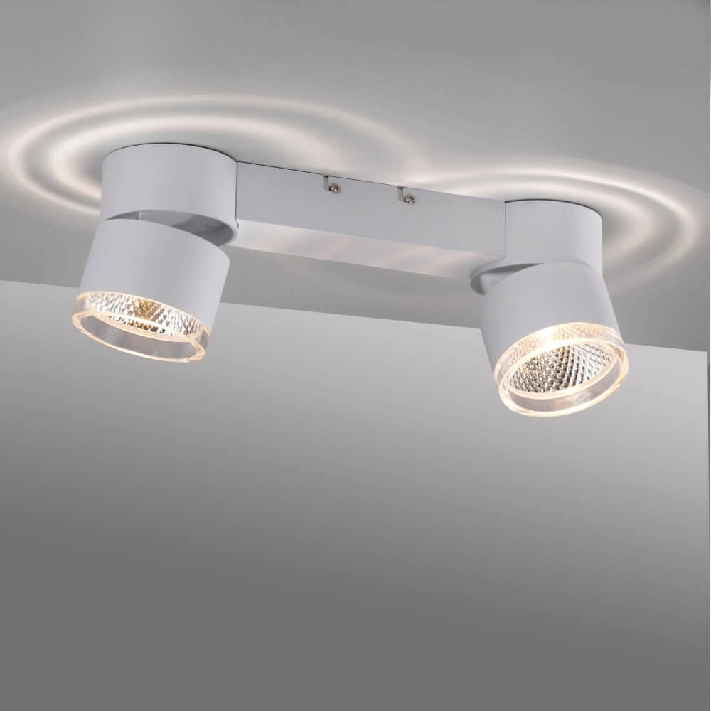 Plafonnier blanc Pure Nola 2 lumières Paul Neuhaus 4012248374542