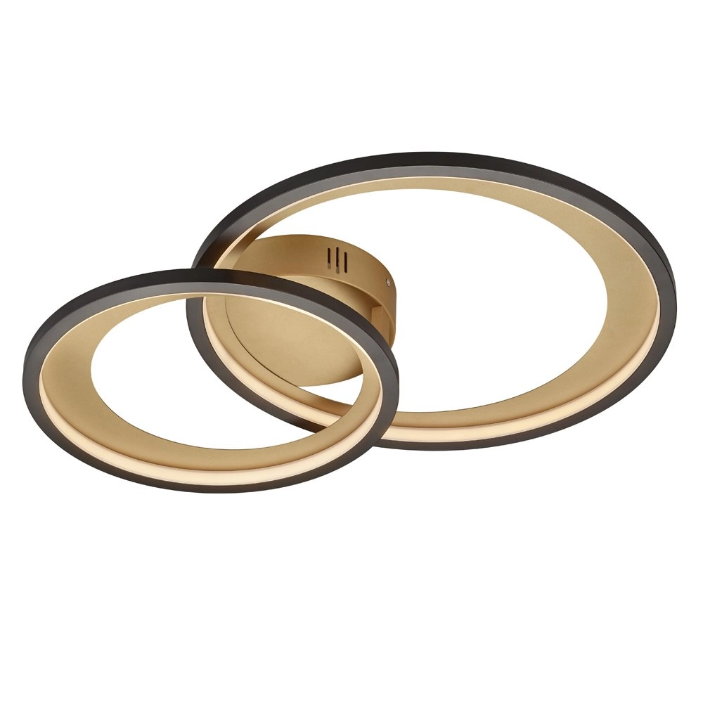 Lampe de plafond Granada Noir Trio 4017807433364