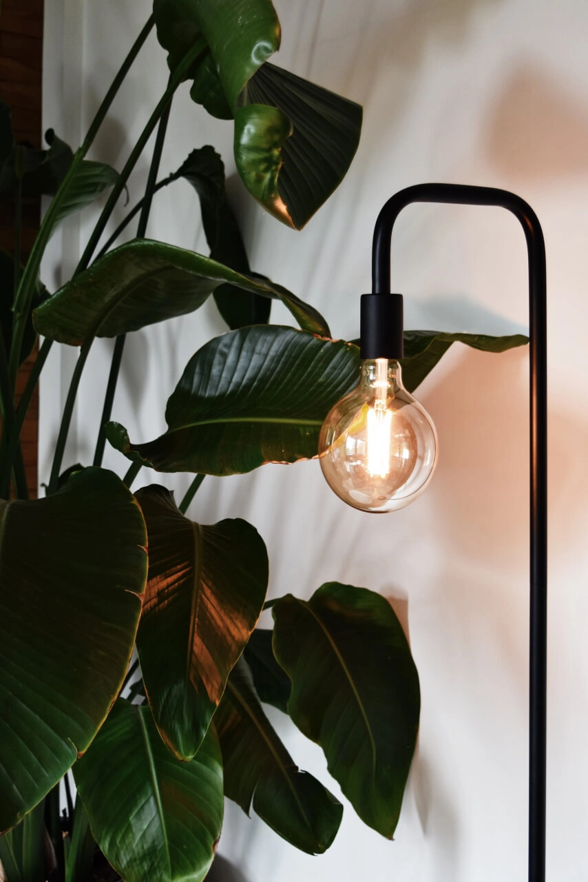 Lampadaire noir Calexa Circle 8712879147398