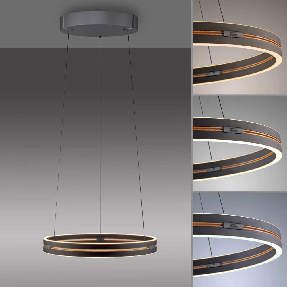 Lampe suspendue élégante Pure E-Loop black Paul Neuhaus 4012248386224