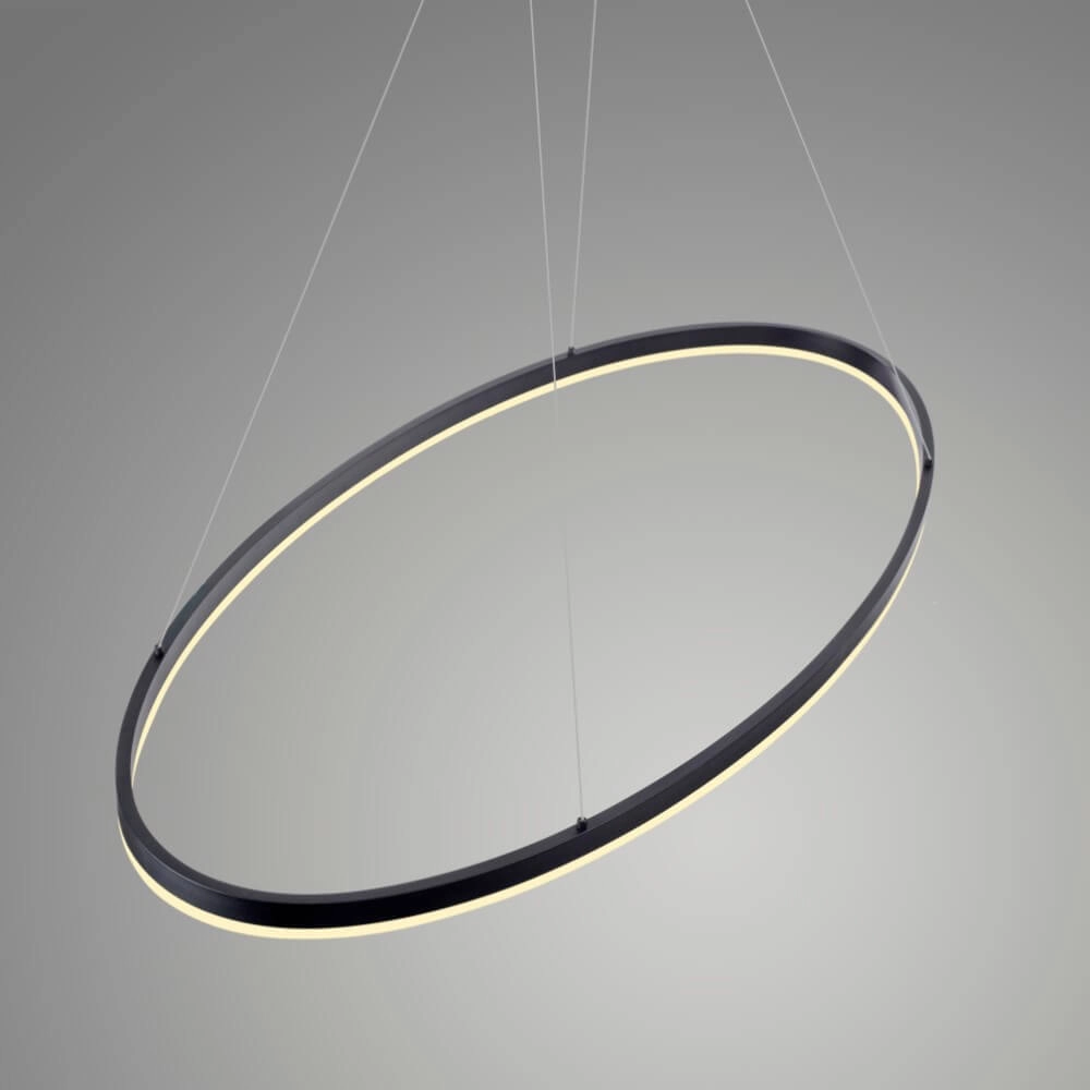 Lampe à suspension anthracite Titus Ø 118 cm Paul Neuhaus 4012248375228