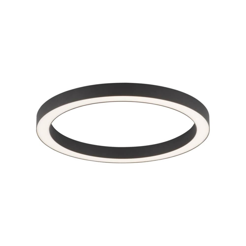 Lampadaire rond Pure Lines Round Ø 50 cm anthracite Paul Neuhaus 4012248375853