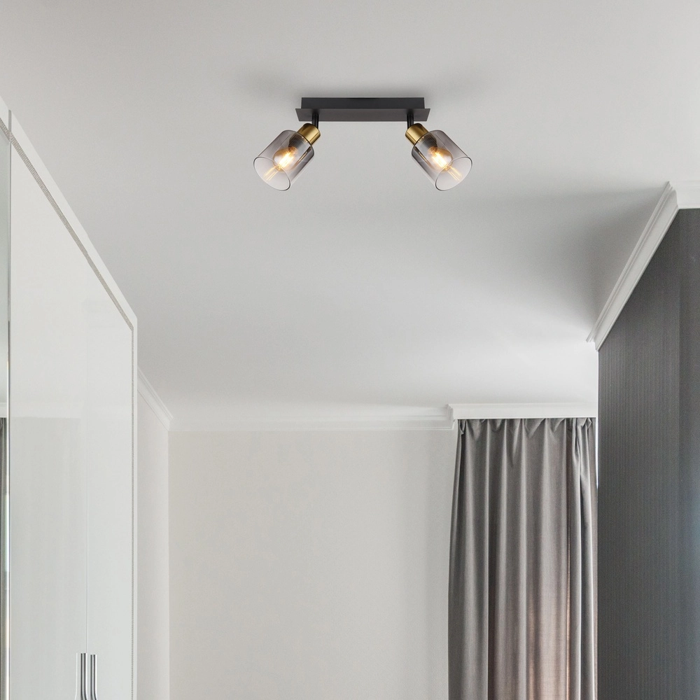 Lampe de plafond à deux lumières Hollsy noir avec verre fumé Globo 9007371445851