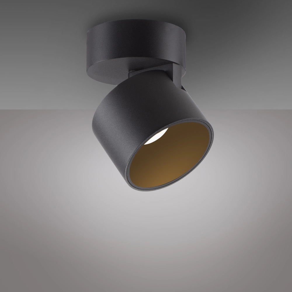 Spot lisse monté en surface Pure Cup Black Pearl Paul Neuhaus 4012248395585