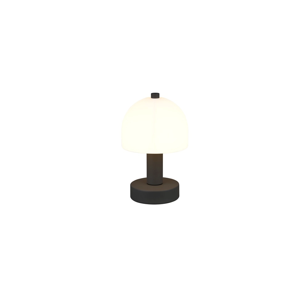 Lampe de table élégante Glenn noir Trio 4017807613605